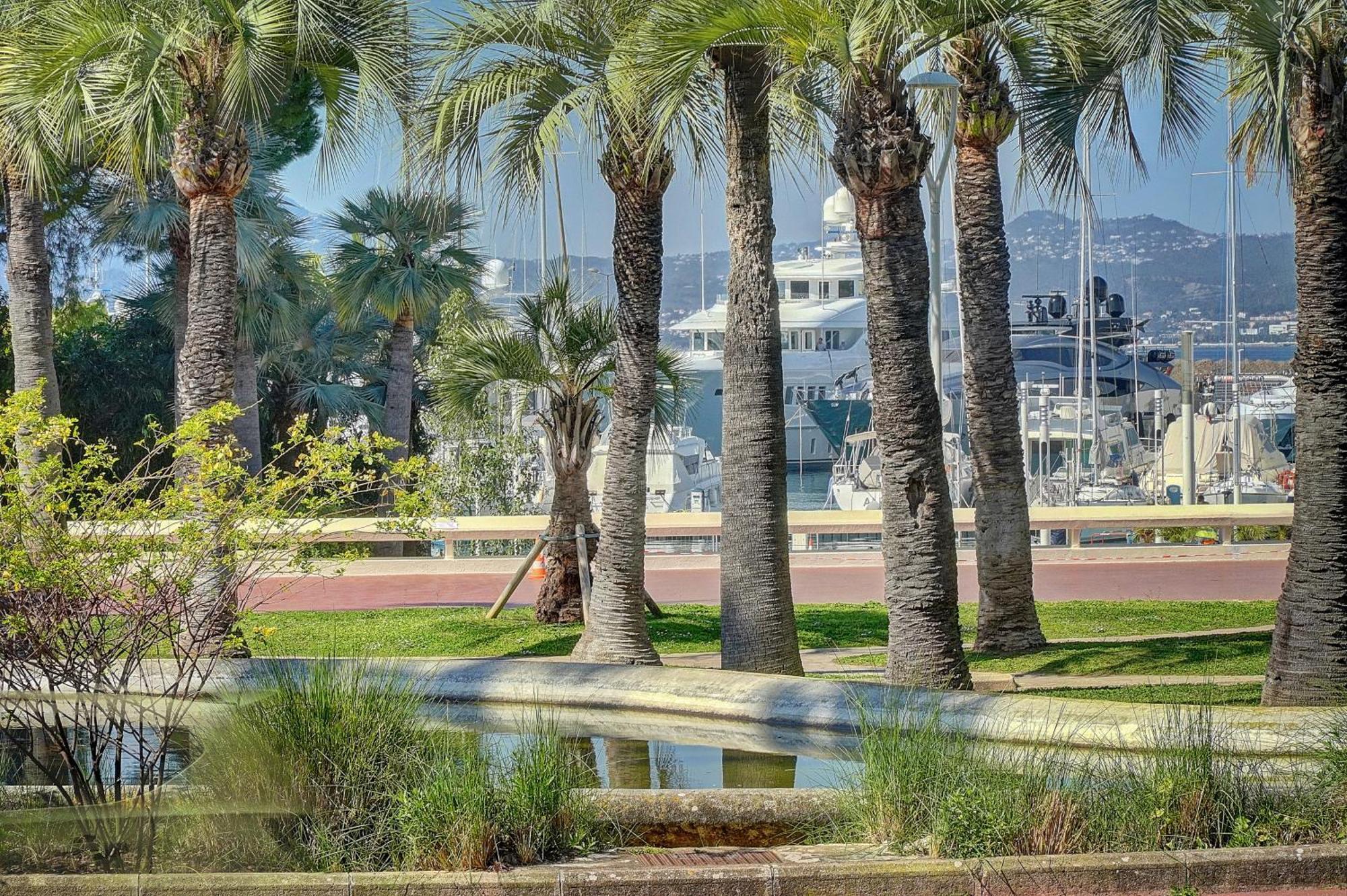 Le Palm - 100M Plage - Croisette - Verriere Cote D'Azur คานส์ ภายนอก รูปภาพ