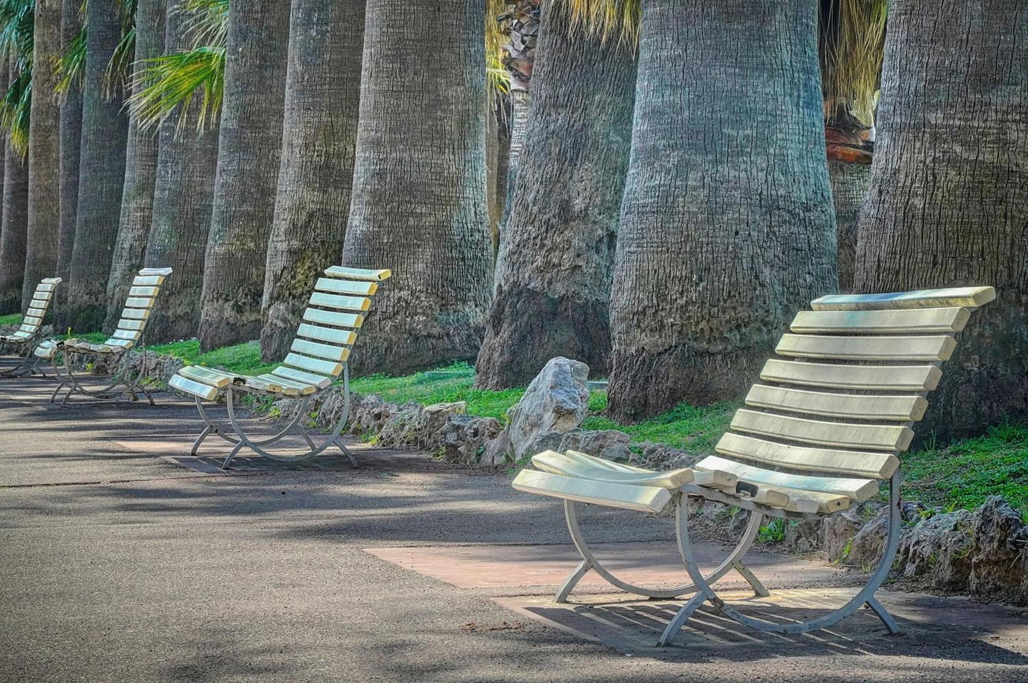 Le Palm - 100M Plage - Croisette - Verriere Cote D'Azur คานส์ ภายนอก รูปภาพ