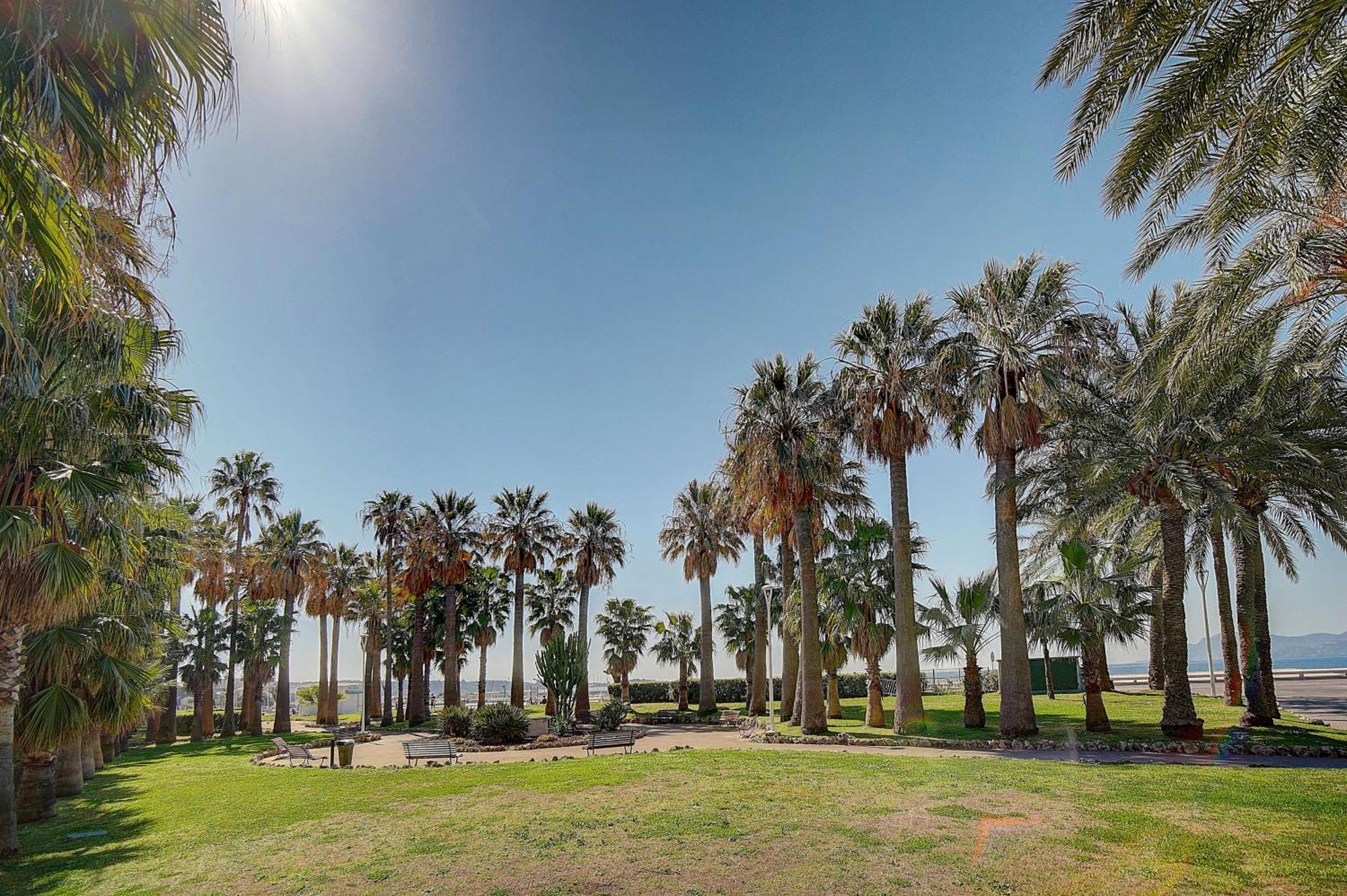 Le Palm - 100M Plage - Croisette - Verriere Cote D'Azur คานส์ ภายนอก รูปภาพ