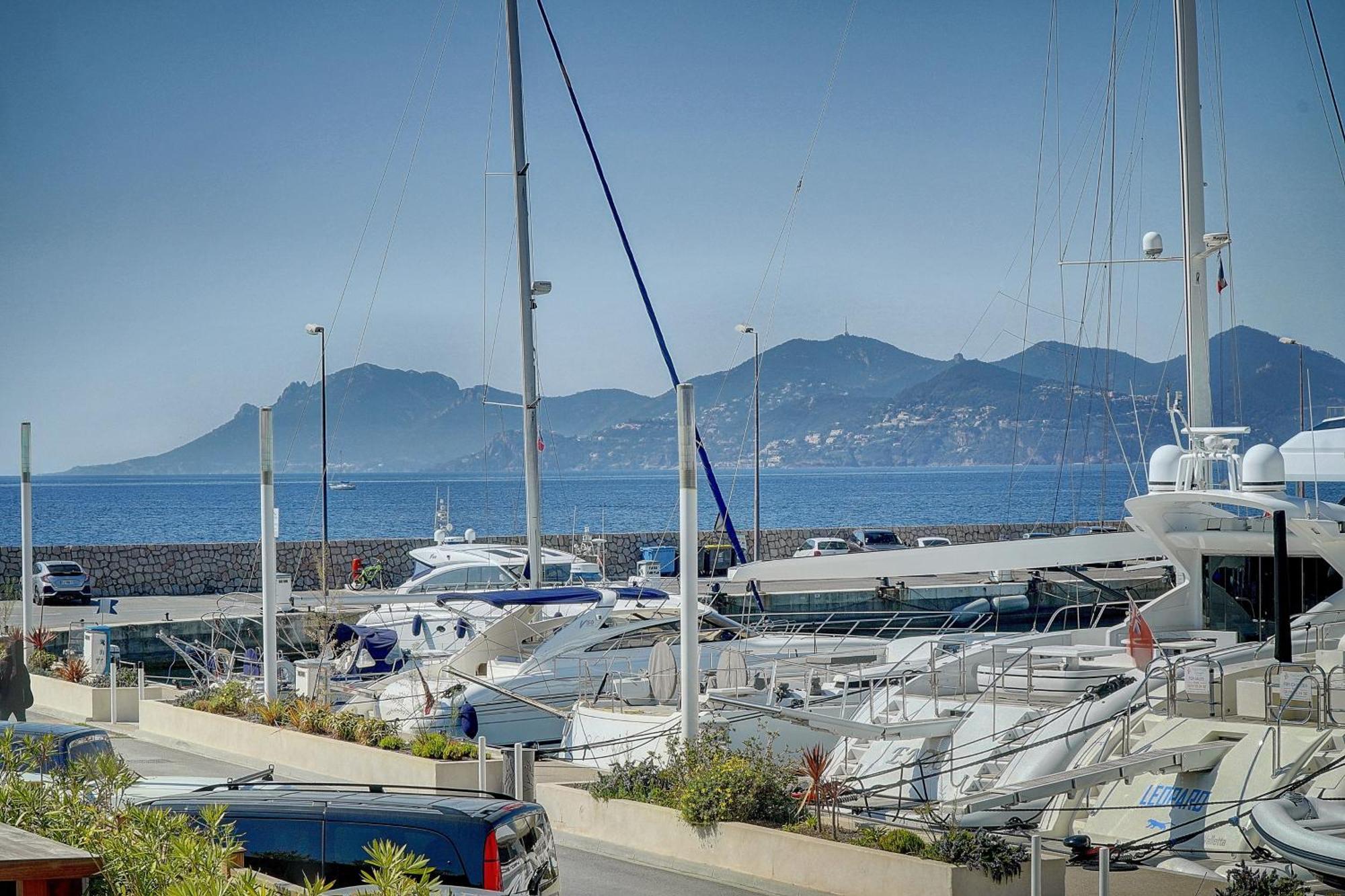 Le Palm - 100M Plage - Croisette - Verriere Cote D'Azur คานส์ ภายนอก รูปภาพ